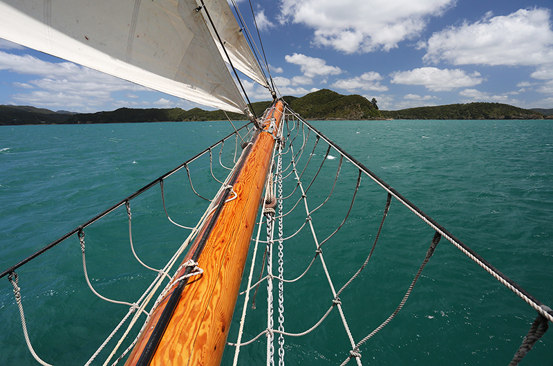 Sail on the R Tucker Thompson, Bay of Islands, NZ